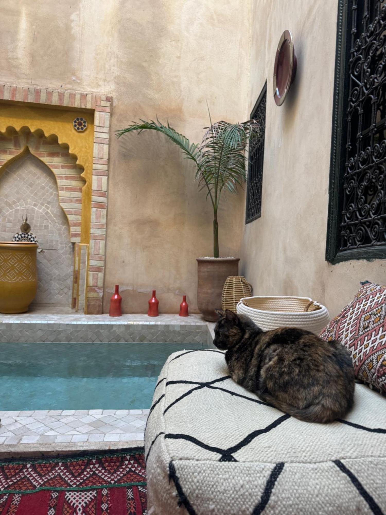Riad Paquerette Marraquexe Exterior foto